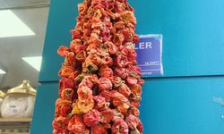 Eskişehir’de kurutulmuş biber yeniden revaçta