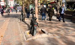 Eskişehir'de ağaçlara bağlanan bisikletler tepki topluyor