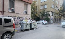 Eskişehir’de çöp sorunu vatandaşları rahatsız ediyor