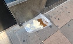 Eskişehir’de duyarsızlık çevreyi kirletiyor!