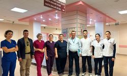 Sağlıkçılar bir ayda 7 kurumda rapor hazırladı