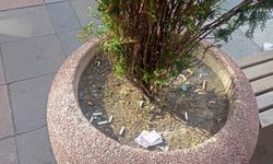 Eskişehir'de saksılar çöp yeri oldu