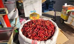 Acı severlerin vazgeçilmezi: Eskişehir'de fiyatı cep yakıyor