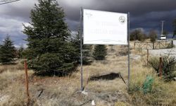 Eskişehir'de bir taraf yok olurken diğer tarafa binlerce fidan