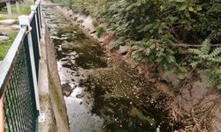 Eskişehir'de kanalların hali içler acısı