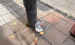 Eskişehirli esnaftan sokak hayvanlarına örnek destek!