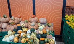 Eskişehir'de doğal ürün pazarına yoğun ilgi