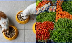 Kasımda fiyatı en çok artan evcil hayvan ürünleri oldu