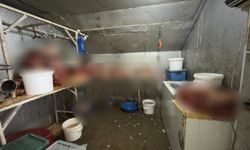 Eskişehir'in ilçesinde skandal: Yüzlerce kilo ele geçirildi