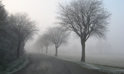 Eskişehir'de bugün hava durumu (3 Aralık 2025 Çarşamba)