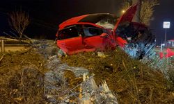 Eskişehir'de bir ağacı devirdi diğerine çarparak durabildi