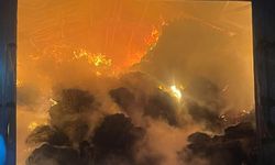 Eskişehir'de çiftliği alevler sardı: Sabaha kadar yandı