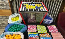 Eskişehir'de güvercin sevenler dernek kurdu, bakın altından ne çıktı