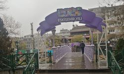 Eskişehir'de köprüler de yeni yıla süslendi