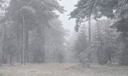 Eskişehir'e yılın ilk karı düştü