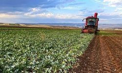 Çiftçilere kritik uyarı: Son tarih yaklaşıyor!