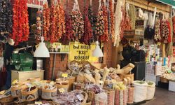 Eskişehir’de kış bitkileri vatandaşların ilgisini çekiyor!