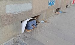 Eskişehir’de sokak hayvanlarına duyarlı davranış!