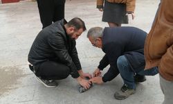 Eskişehir'de güvercin için seferberlik