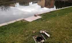 Eskişehir'de bunu da yaptılar: Söküp götürdüler