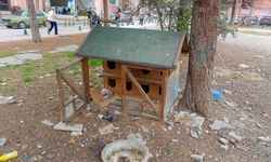 Eskişehir’de yürek burkan görüntü: Çöplüğe döndü!