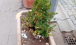 Eskişehir’de çevre duyarsızlığı dikkat çekti