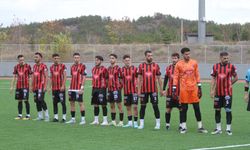 Bozanspor’un hedefi puanla dönmek