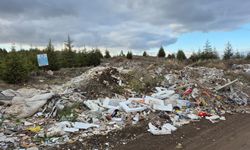 Eskişehir'de resmen çevre katliamı