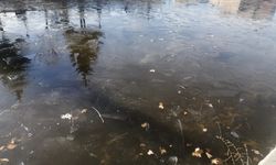 Porsuk Çayı yıllar sonra yeniden buz tuttu