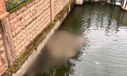 Eskişehir’de duyarsızlık manzarası: Bu görüntü tepki çekti!