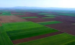 Danıştay'dan Eskişehir Alpu Ovası için tarihi karar