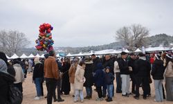Bilecik'teki festivalde soğuk havaya rağmen uzun kuyruk!
