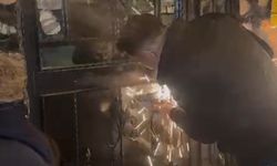 Eskişehir polisi kapıyı ikiye bölerek girdi: İçeride yok yok...