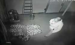 Eskişehir’de ekmek skandalı: Bilerek küflendirip…