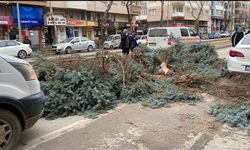 Eskişehir'i fırtına vurdu: Tramvaylar durdu!