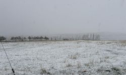 Eskişehir'in yüksek kesimlerinde kar yağışı etkili oldu