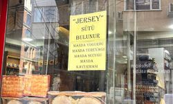 Eskişehir'de şarküterilerde Jersey sütüne ilgi büyük
