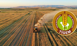 Eskişehir'de iş arayanlar dikkat: Son başvuru bugün!