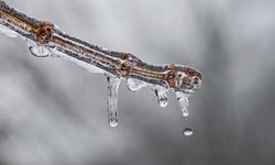 Eskişehir'de bugün hava durumu (15 Ocak 2026 Perşembe)