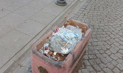 Eskişehir’de çevre düzeni alarm veriyor!