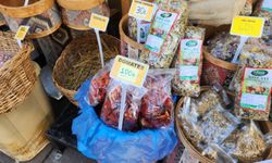 Kuru domates tezgâhlarda ilgi görüyor