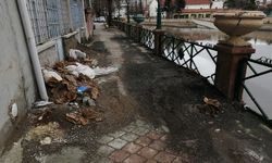 Eskişehir'de Porsuk Çayı'nın etrafı temizliğe hasret kaldı