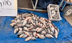 Hindistan değil Eskişehir: Görenler hayrete düştü!