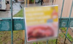 Eskişehir’de sokak hayvanları için dikkat çeken uyarı