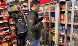 Bilecik'te gıda işletmelerine denetim