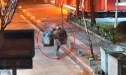 Eskişehir’de 2 ayrı hırsızlık yapan şahıs tutuklandı