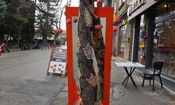 Eskişehir'e renkli dokunuş: Gören telefona sarılıyor