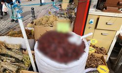 Eskişehir’de mutfağın vazgeçilmezi cep yakıyor!