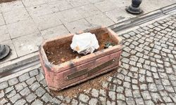 Eskişehir'deki beton saksılar amacından saptı