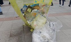 Eskişehir'de çöpler doldu taştı: Vatandaş isyan etti!